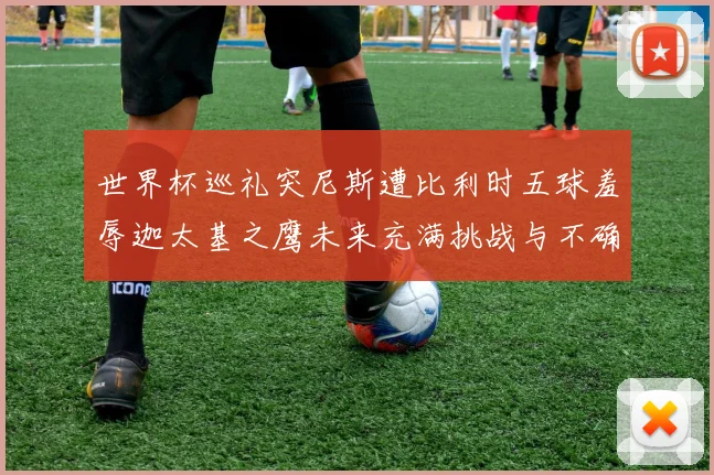 世界杯巡礼突尼斯遭比利时五球羞辱迦太基之鹰未来充满挑战与不确定性